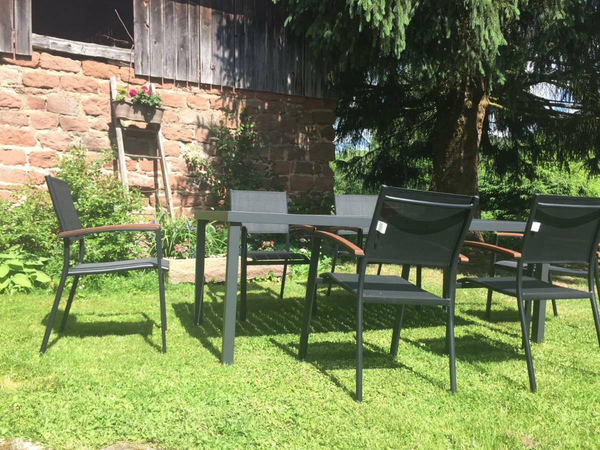Meubles De Tourisme Heidelbeere Apartment Dambach Ngoại thất bức ảnh