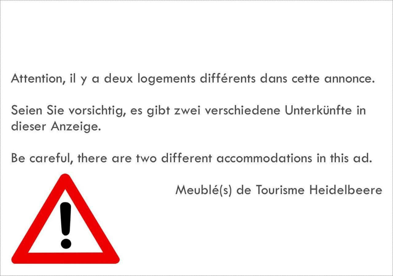 Meubles De Tourisme Heidelbeere Apartment Dambach Ngoại thất bức ảnh